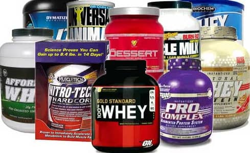 selection of the best protein powders