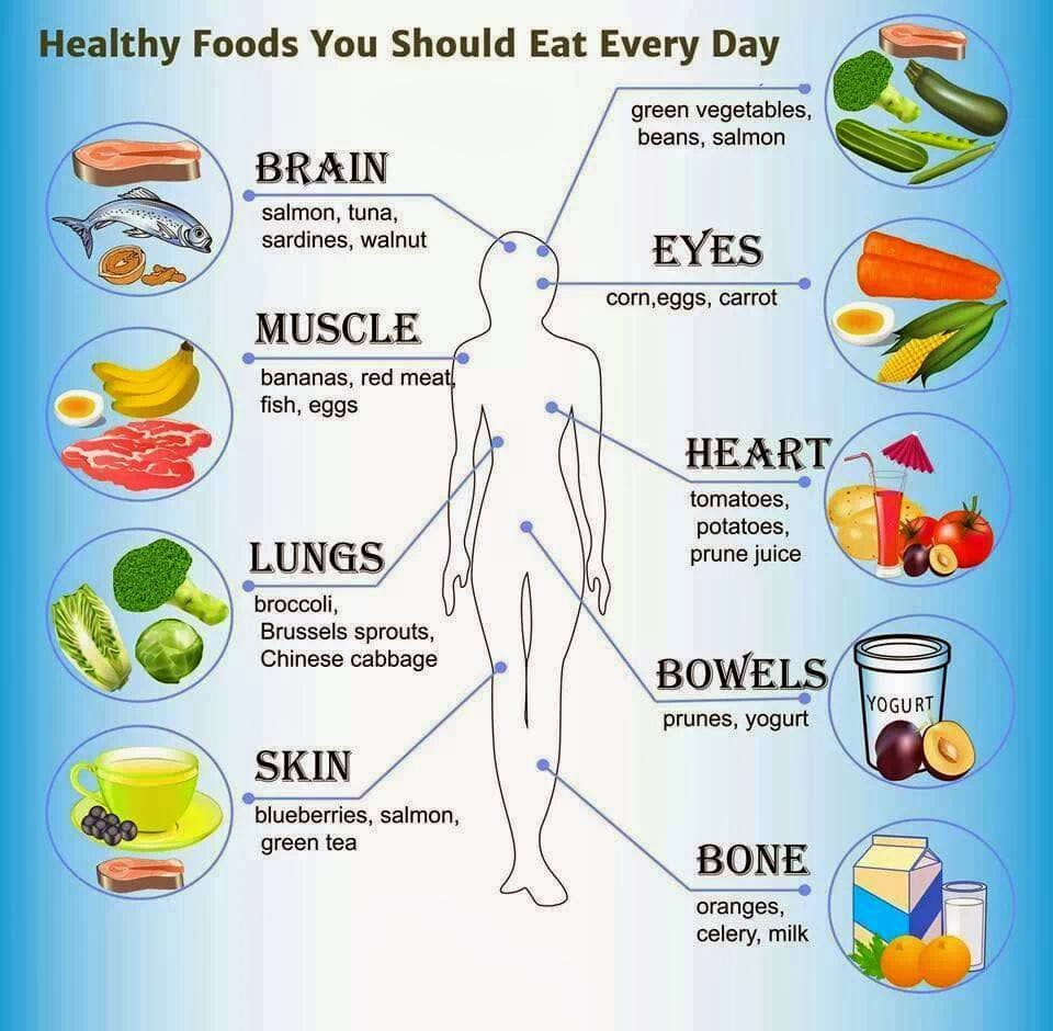 How to Eat Healthily Everyday