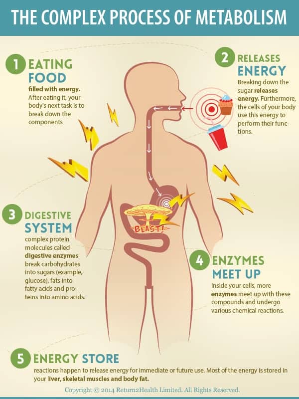 Why Dinner Matters When You Are Trying to Get in Shape
