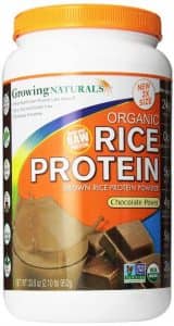 Growing Naturals Organic Rice Protein Chocolate Power