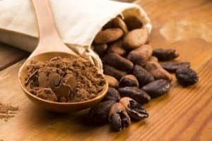 cacao grain and powder