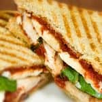 Champion chicken panini