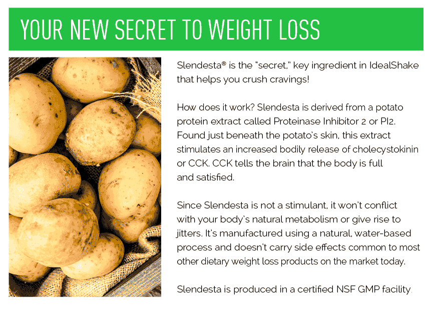 What is Slendesta ?