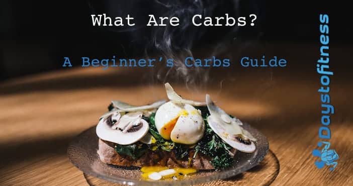 What Are Carbs ? A Beginner’s Carbs Guide