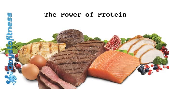 The Power of Protein