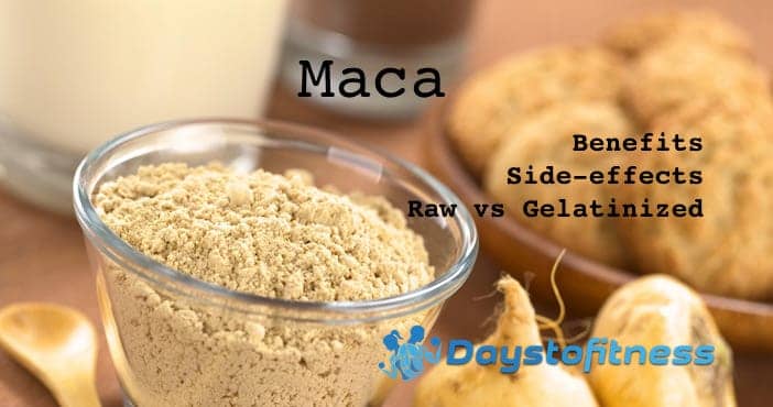 What is Maca ?