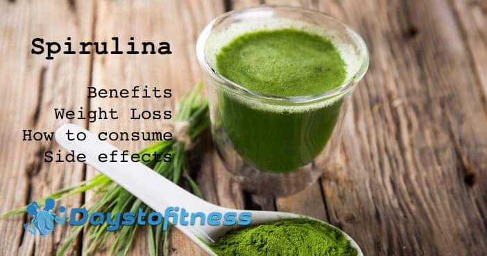 What is Spirulina ?