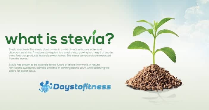What is Stevia and Is It Good for You ?