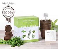 grow 5 herbs from seed