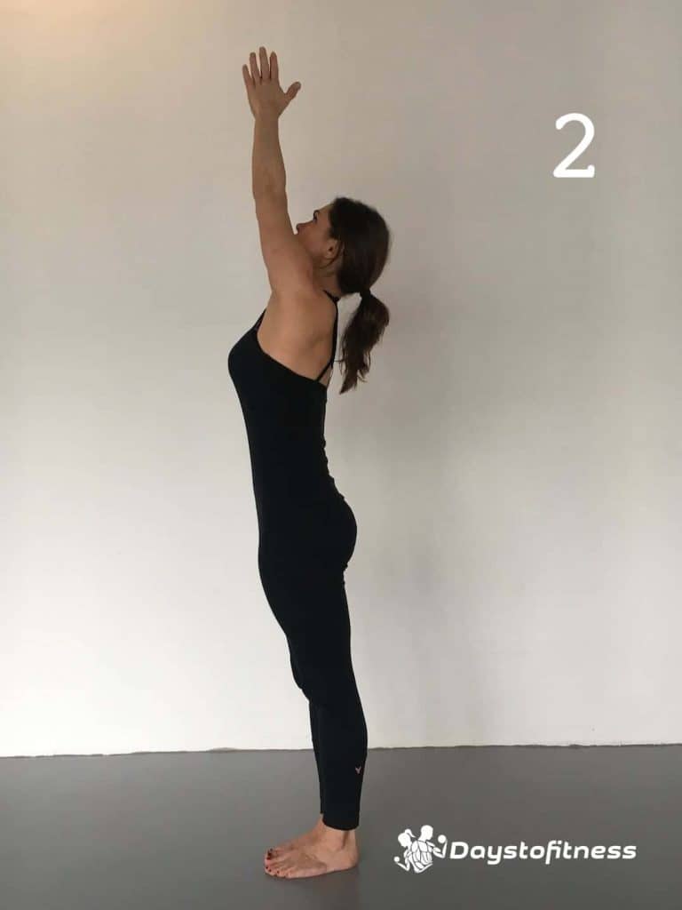 Sun Salutation 2 - Urdhva Hastasana