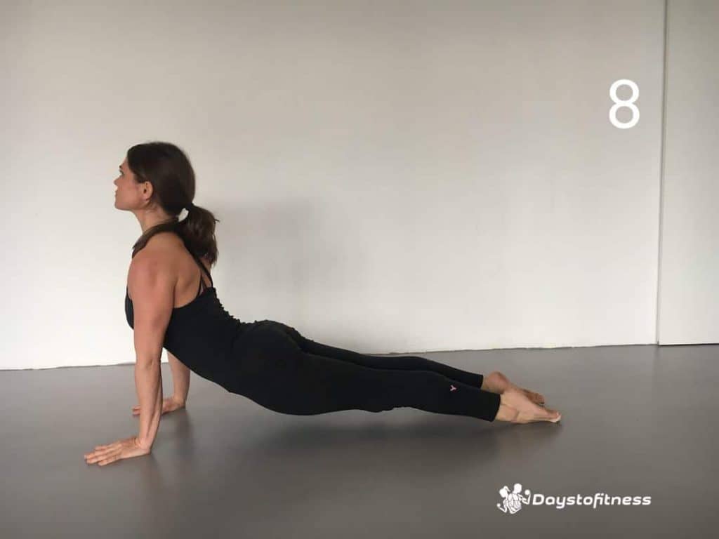 Sun Salutation 8 - Urdhva Mukha Svanasana, upward facing dog