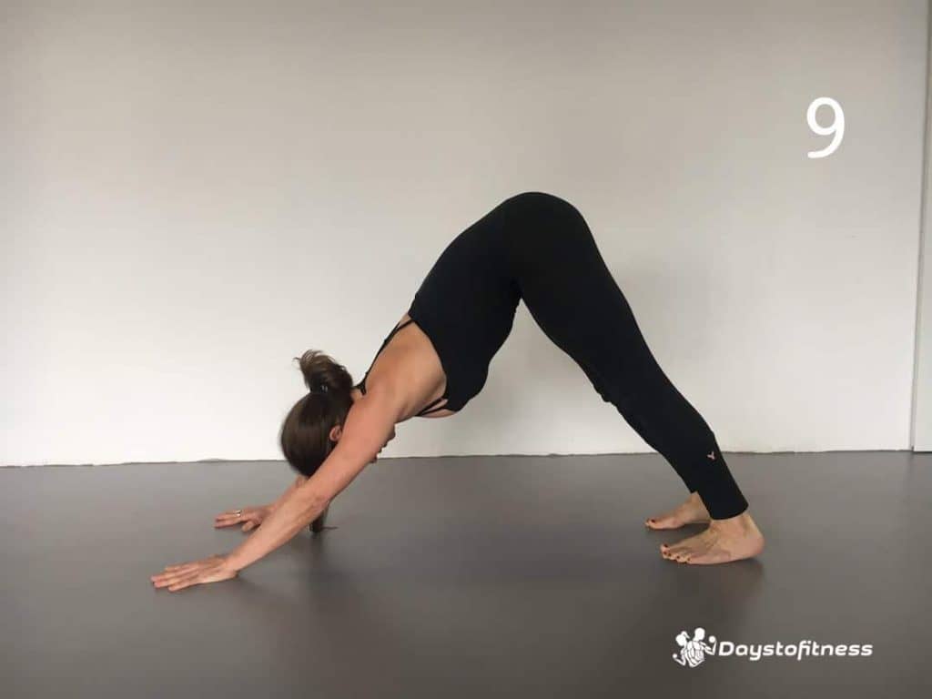 Sun Salutation 9 - downward facing dog