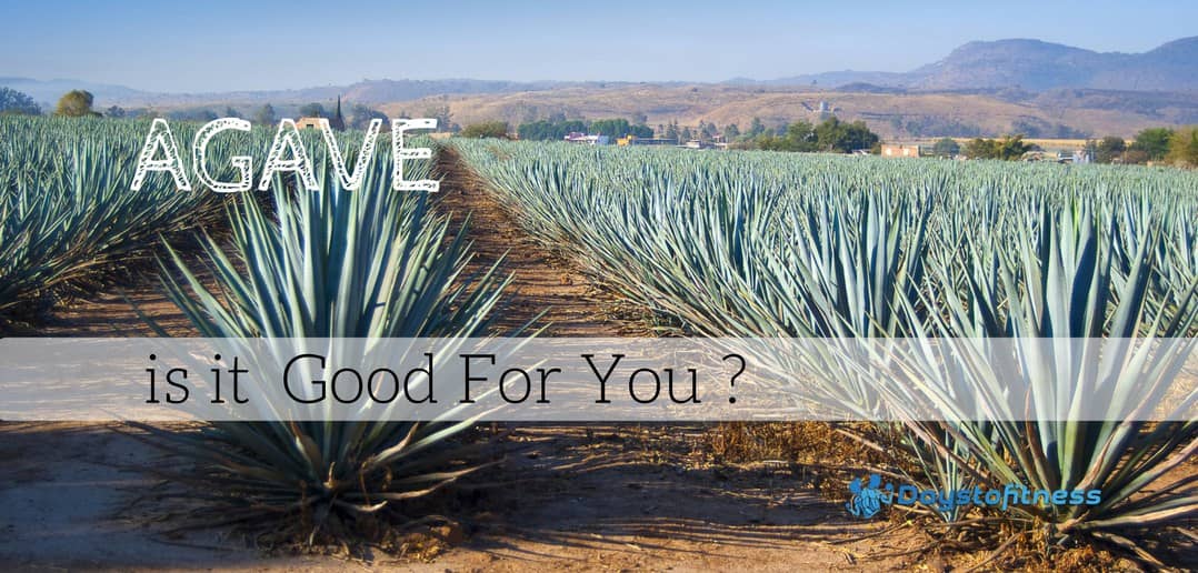 Is Agave Good for You ?