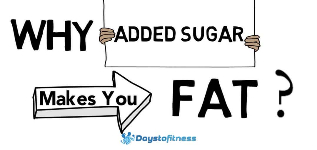 Why added sugar makes you fat