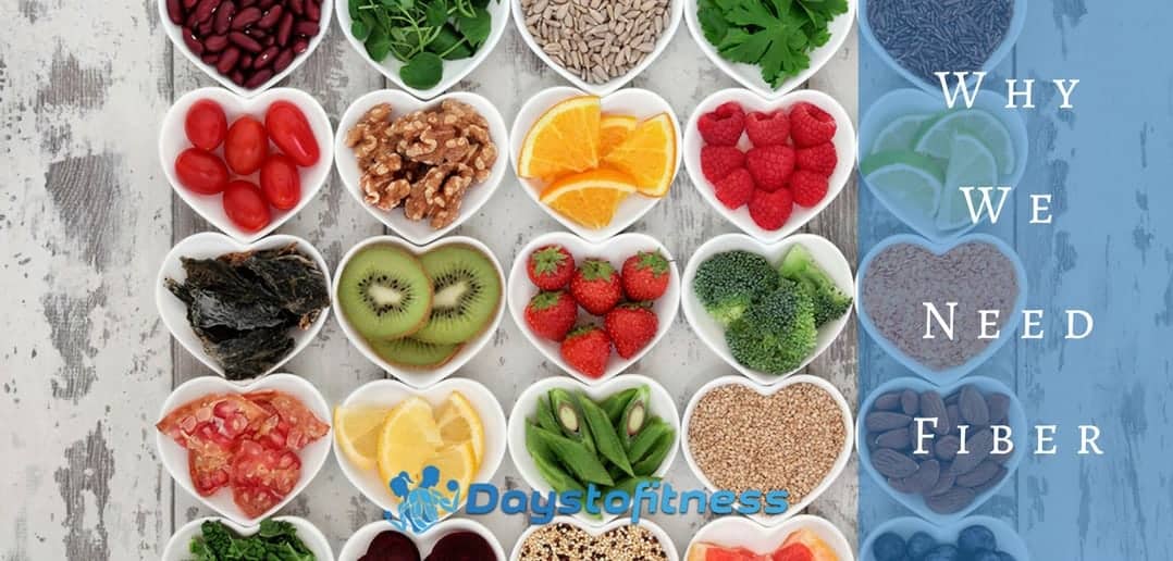 Not Enough Fiber On Modern Diets