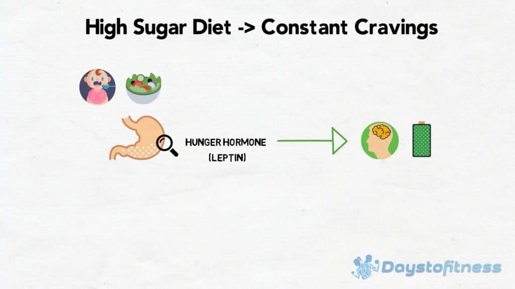 Hunger Hormone working correctly