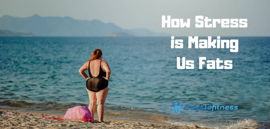 How Stress Make Us Fat and How to Relax